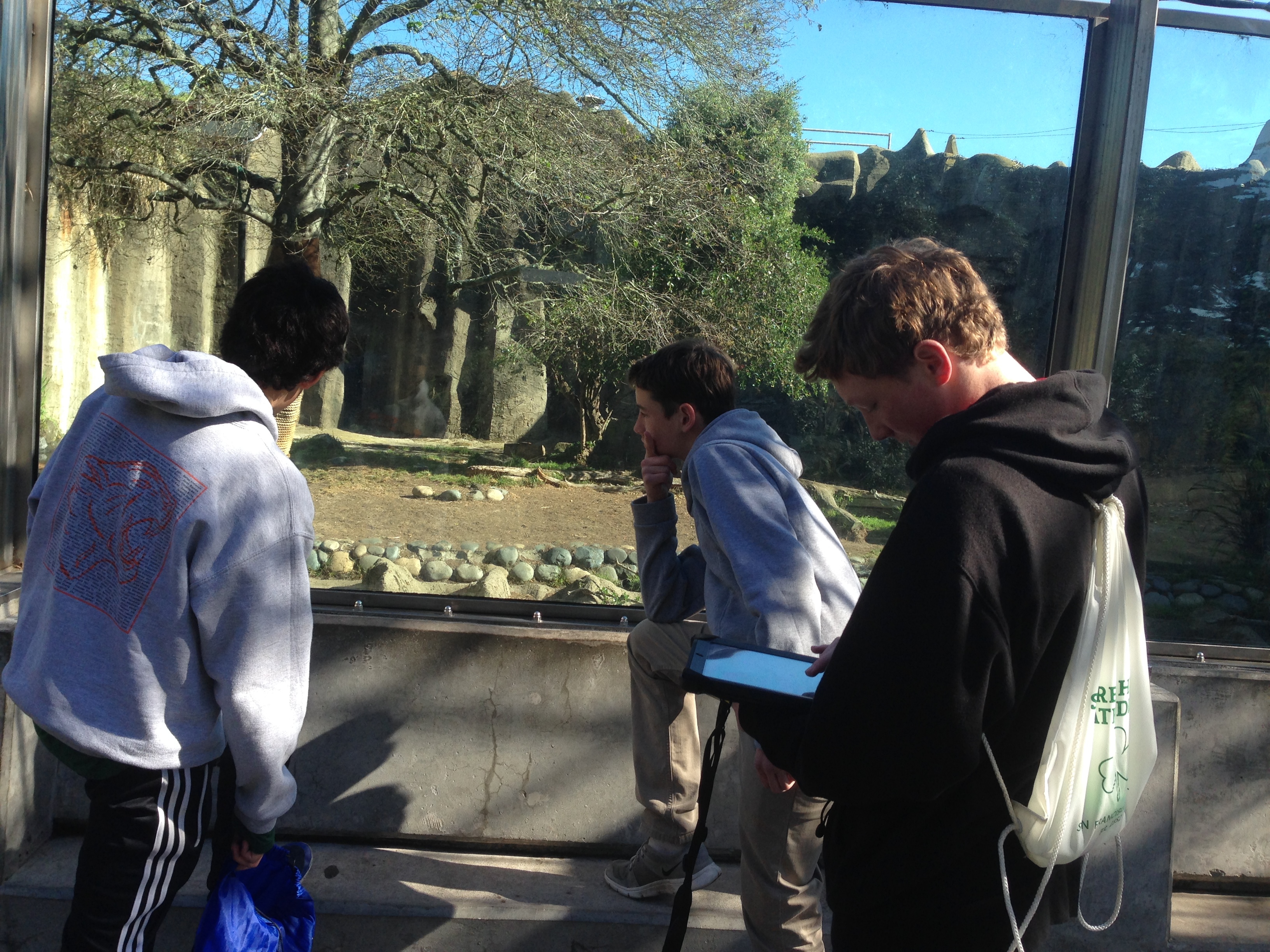 SHC students observe animal behavior at the San Francisco Zoo.